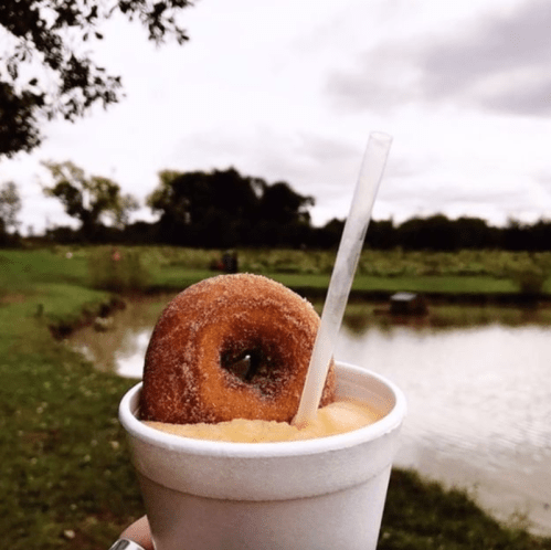 A hand holds a cup of orange drink topped with a cinnamon donut, with a scenic pond and trees in the background.