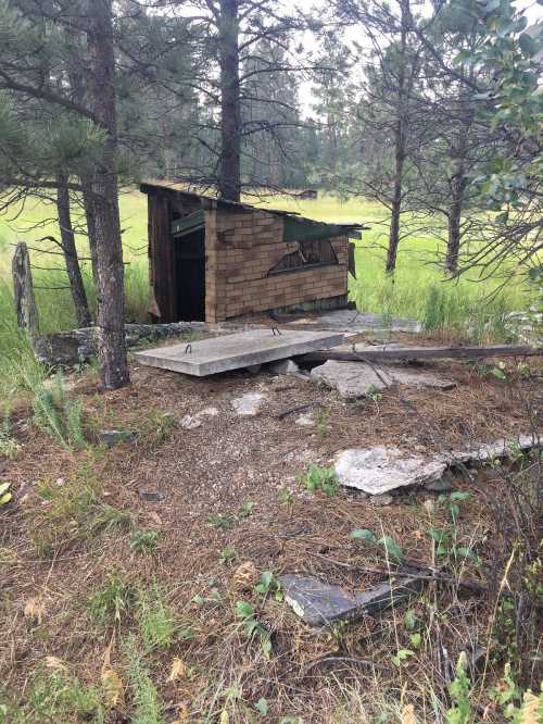 Abandoned wooden structure surrounded by trees and overgrown grass, with debris scattered on the ground.