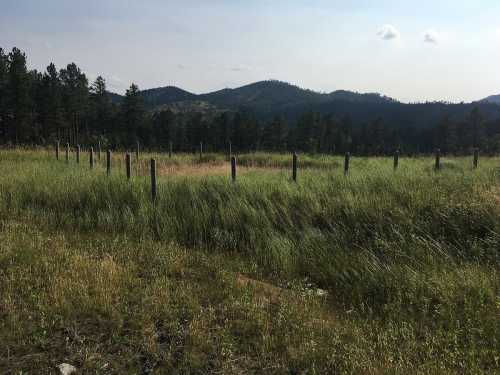 A grassy field with wooden posts, surrounded by trees and mountains under a clear sky.