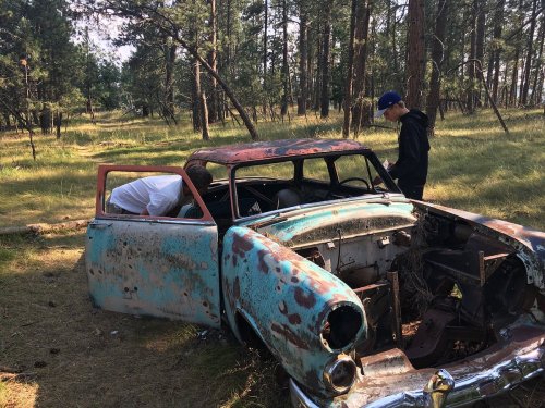 Two people explore an old, rusted car in a forested area with tall trees and grass.