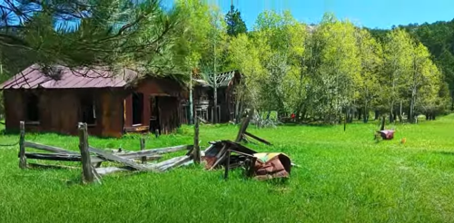 A rustic scene featuring an old, dilapidated building surrounded by lush green grass and trees under a clear blue sky.