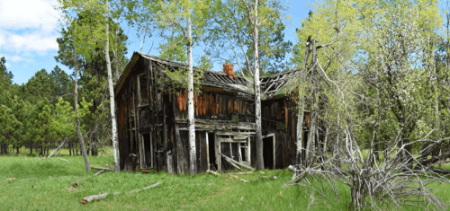 An old, weathered wooden house surrounded by green grass and trees, showing signs of decay and neglect.