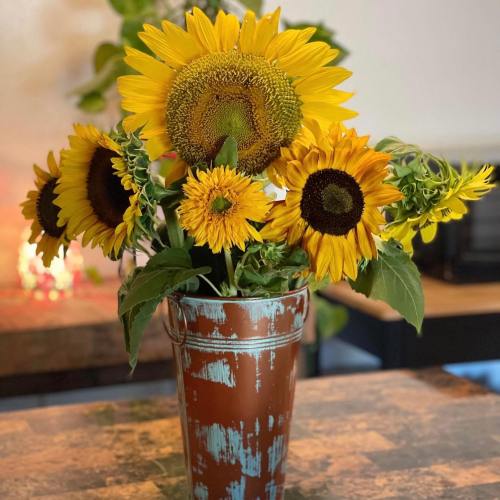 A vibrant bouquet of sunflowers in a rustic metal bucket, set on a wooden table.