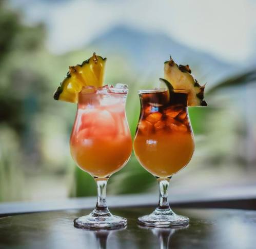 Two colorful cocktails in elegant glasses, garnished with pineapple, set against a blurred outdoor background.