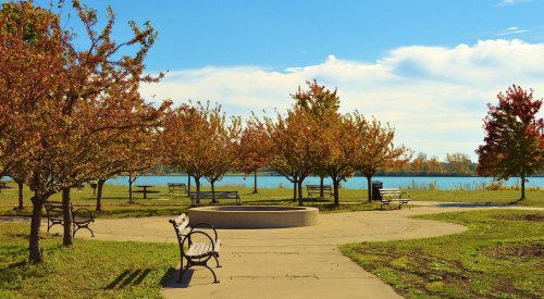 A serene park scene with benches, colorful trees, and a lake under a clear blue sky.