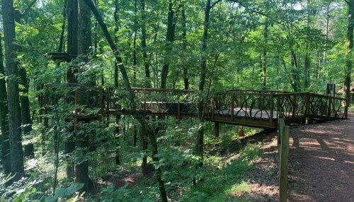 A wooden observation deck surrounded by lush green trees in a forested area.