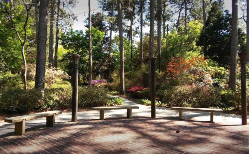 A serene park scene with benches surrounded by lush greenery and colorful flowers under tall trees.