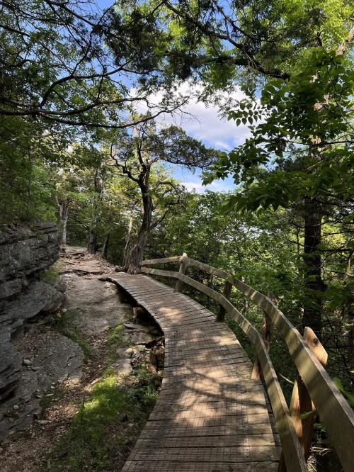 A winding wooden path through lush greenery and rocky terrain under a blue sky with scattered clouds.