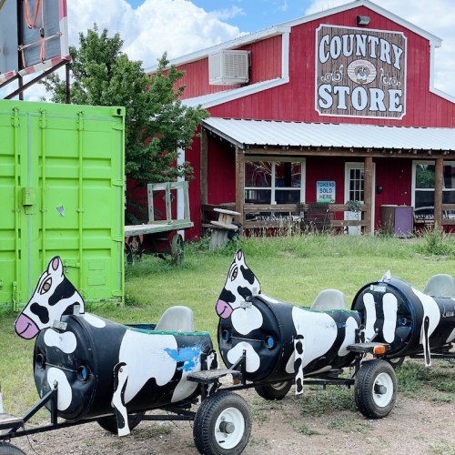 A country store with a green shipping container and a row of cow-shaped planters on wheels in front.