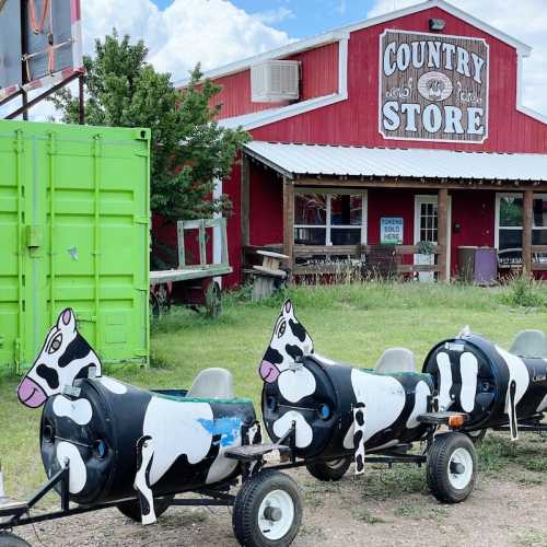 A country store with a green shipping container and a row of cow-shaped planters on wheels in front.