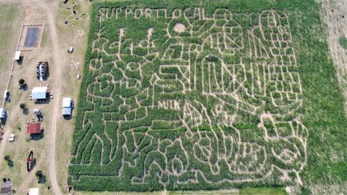 Aerial view of a corn maze featuring intricate designs and the phrase "Support Local."