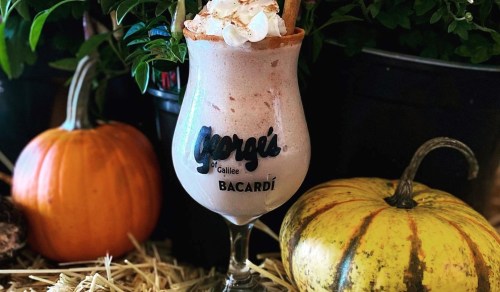 A frosty drink topped with whipped cream and cinnamon, surrounded by pumpkins and greenery.