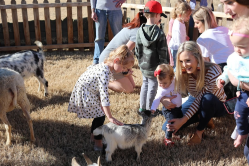 Children and adults interact with goats in a petting zoo, enjoying a sunny day outdoors.