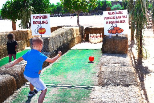 A child bowls a pumpkin down a grassy lane surrounded by hay bales, with signs for pumpkin bowling in the background.