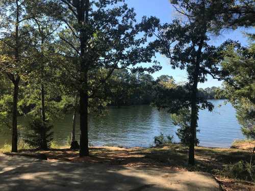 A serene lake view framed by trees under a clear blue sky, with calm water reflecting the surroundings.