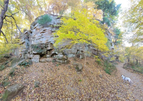 A rocky cliff surrounded by vibrant autumn foliage and a dog standing on a leaf-covered path.