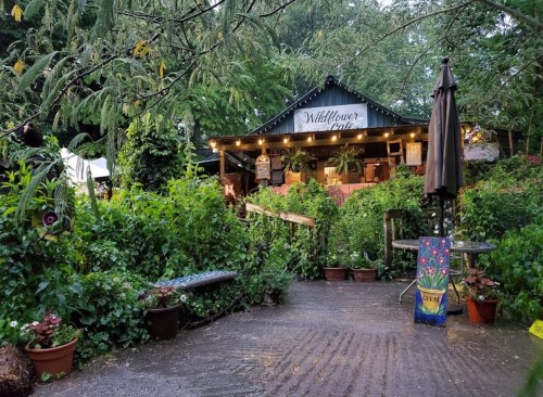 A cozy café surrounded by lush greenery, with warm lights and a welcoming entrance path.