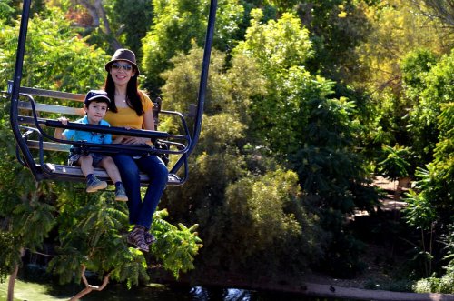 A woman and a child ride a chairlift surrounded by lush green trees on a sunny day.