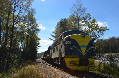 A yellow and green train on a track surrounded by trees and a clear blue sky.