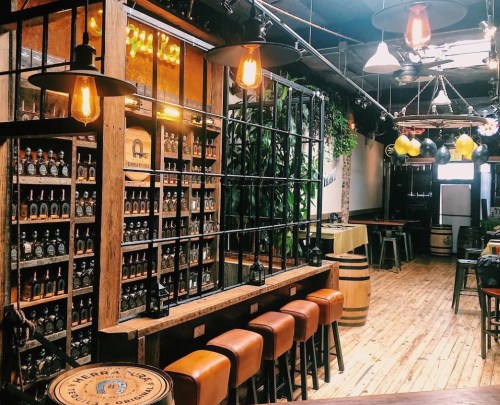 Cozy bar interior with wooden shelves, bottles, and warm lighting, featuring a rustic design and green plants.