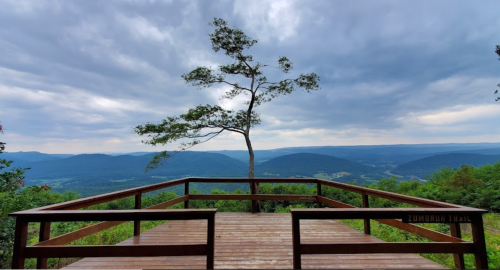 Scenic overlook with a wooden platform, featuring a lone tree and expansive mountain views under a cloudy sky.