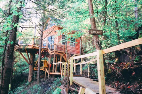 A charming treehouse nestled among lush green trees, with a wooden walkway leading to it and a sign reading "Lions Lair."
