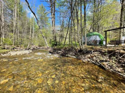 A serene forest scene featuring a clear stream, a geodesic dome tent, and lush greenery under a blue sky.