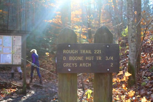 Signpost for Rough Trail 221, D Boone Hut Trail 3/4, and Greys Arch 2, with autumn foliage in the background.
