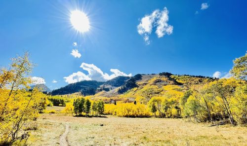 A sunny landscape featuring vibrant yellow trees, rolling hills, and a clear blue sky with a few clouds.