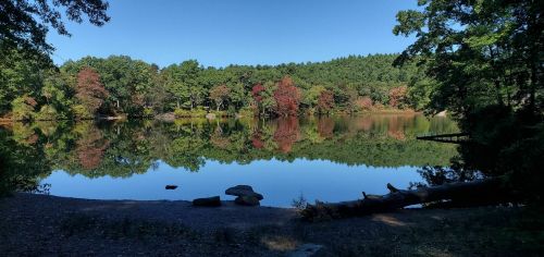 A serene lake surrounded by trees, reflecting autumn colors under a clear blue sky.