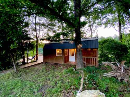 A small wooden cabin nestled among trees, with a porch and a pathway leading to it, surrounded by greenery.