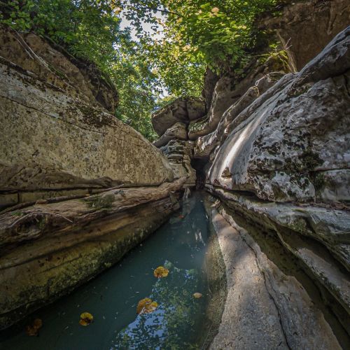 A narrow canyon with smooth stone walls and a small stream running through, surrounded by lush greenery above.