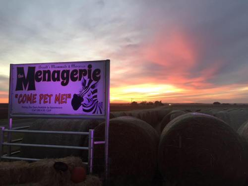 A colorful sunset behind a sign for "The Menagerie" with hay bales in the foreground. The sign invites visitors to "Come Pet Me."