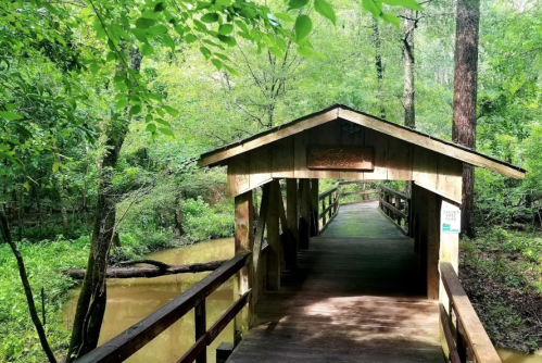 A wooden covered bridge leads into a lush green forest, with trees surrounding a calm waterway.