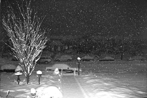 A snowy night scene with falling snowflakes, blanketing trees and cars in a quiet, winter landscape.