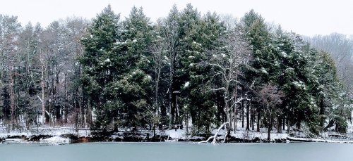 Snow-covered trees line a calm lake, creating a serene winter landscape.