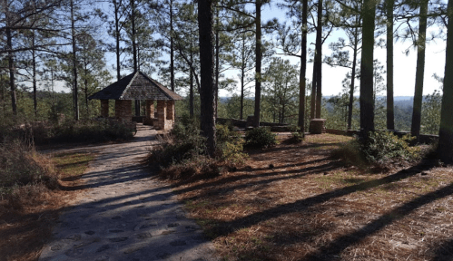 A stone gazebo surrounded by tall pine trees and a winding path in a serene outdoor setting.