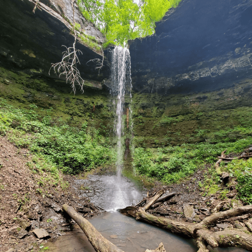 A serene waterfall cascades into a rocky pool, surrounded by lush greenery and steep, moss-covered cliffs.