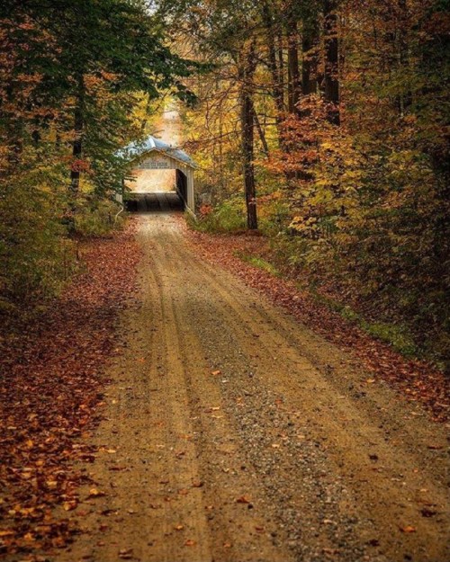 A dirt road lined with autumn trees leads to a covered bridge in a serene, colorful forest setting.