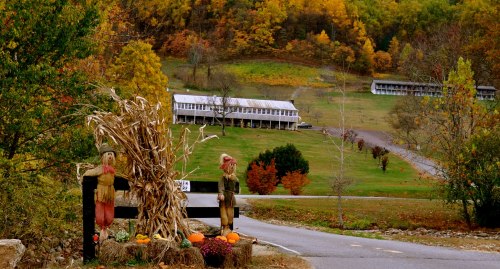 Scarecrows and pumpkins by a road, with colorful autumn trees and a building in the background.