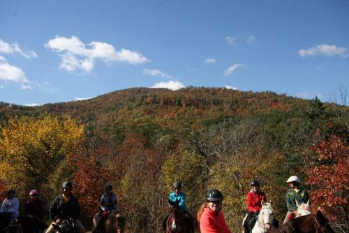 A group of horseback riders in autumn foliage, with colorful trees and a mountain backdrop under a blue sky.