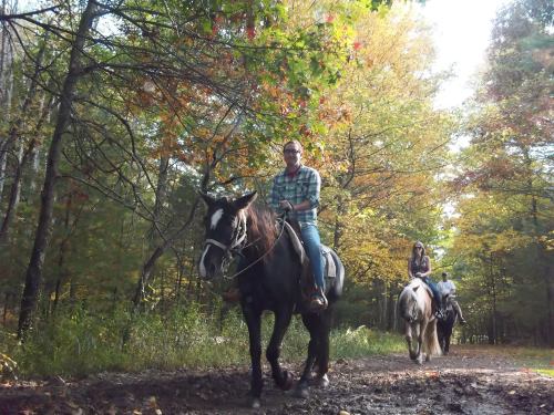A man rides a horse on a forest trail, with a woman on another horse following behind, surrounded by autumn foliage.