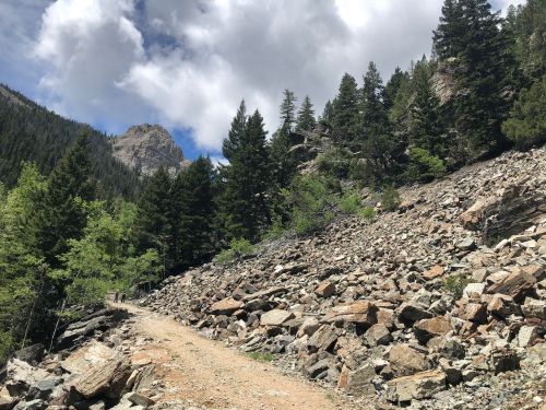 A rocky trail winds through a forested area with tall trees and mountains under a partly cloudy sky.