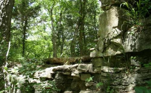 Ruins of stone walls partially covered in greenery, surrounded by dense trees and foliage in a forest setting.