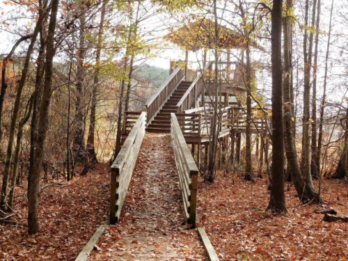 A wooden pathway leads to a treehouse surrounded by trees and autumn leaves.
