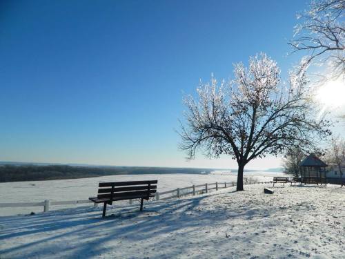 A snowy landscape with a bare tree, benches, and a gazebo under a clear blue sky.