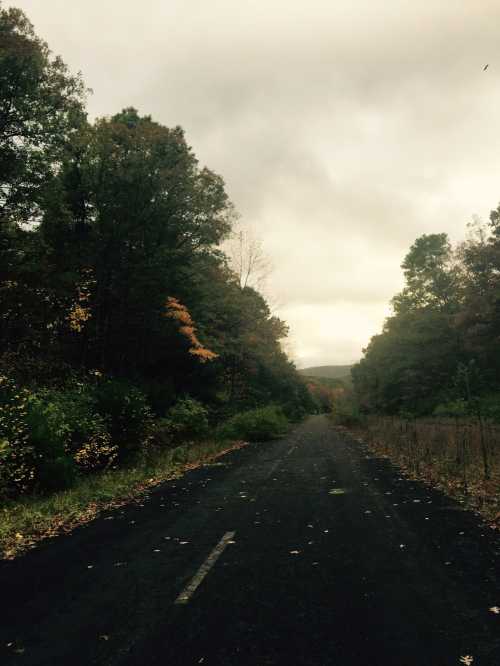 A deserted, overgrown road lined with trees under a cloudy sky, hinting at autumn colors.