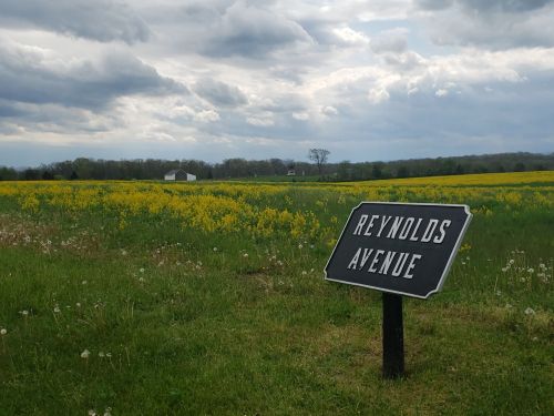 A sign for Reynolds Avenue stands in a field of yellow flowers under a cloudy sky.