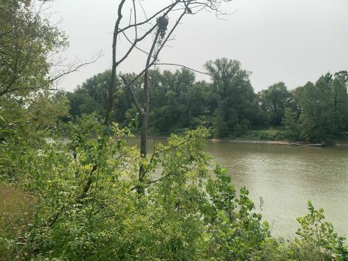 A calm river flows through a lush green landscape, with trees lining the banks under a cloudy sky.