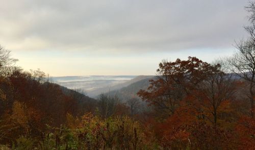 A misty valley view surrounded by autumn trees under a cloudy sky.